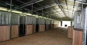 Barn Stables Or Traditional Stables: Which One Should You Choose 